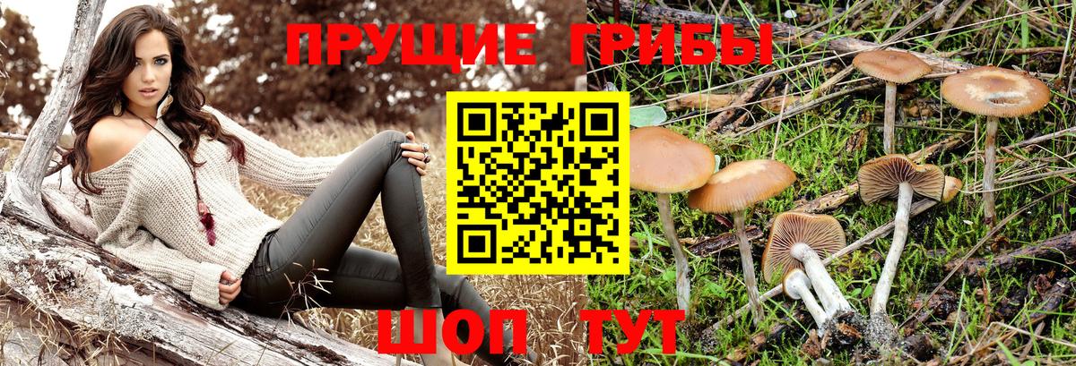 Галлюциногенные грибы мицелий Кулебаки