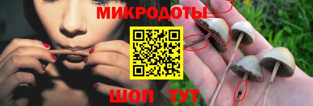 Кулебаки  дарнет шоп  Вход с VPN  Псилоцибиновые грибы Psilocybine cubensis 