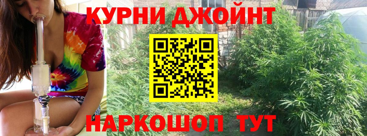 Бошки Шишки конопля Кулебаки